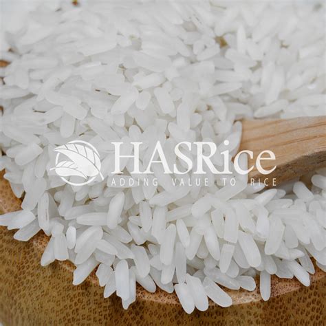 IRRI6 White Rice 25 Broken Pakistan Rice Exporters