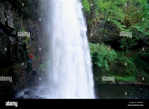 Oregon Silver Falls State Park Lower South Falls Stock Photo Alamy