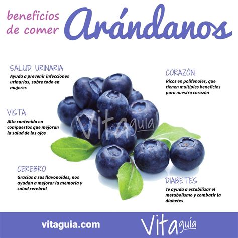 Beneficios para la salud de comer arándanos alimentos Frutas y