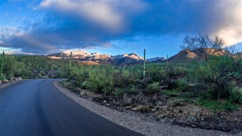 Hiking Bear Canyon in Tucson Arizona | Bear Canyon Loop