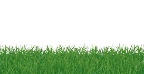 Premium Vector Green Grass Frame Isolated On White Background Vector