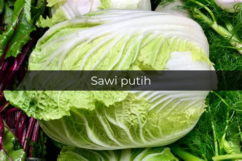 Quiz Jangan Ngaku Pencinta Sayuran Kalau Gak Tahu Nama Sayur Ini