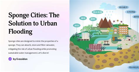 Sponge Cities The Solution To Urban Flooding