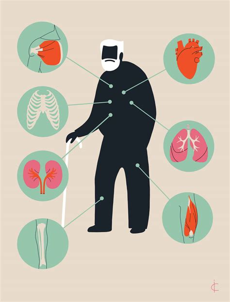 Geriatric Trauma Patient Trauma Surgery Gmka Global Medical