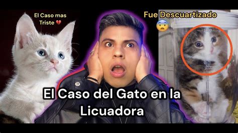 El Caso Del GATO En La LICUADORA El Caso Mas Triste YouTube