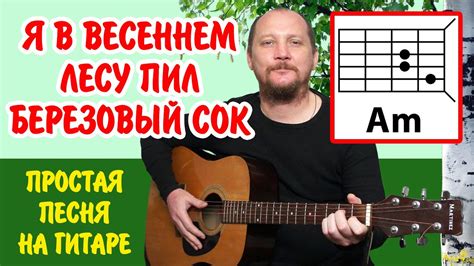 Я В ВЕСЕННЕМ ЛЕСУ ПИЛ БЕРЕЗОВЫЙ СОК - ПРОСТАЯ ПЕСНЯ НА ГИТАРЕ (АККОРДЫ ...
