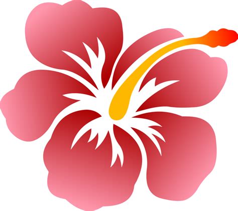 Hawaiian Hibiscus Drawing Free Download On Clipartmag