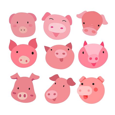 Premium Vector Pig Character Vector Design