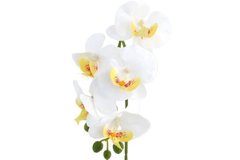 K Nstliche Orchidee Weiss Im Topf H He Cm Kunstblume Pflanze