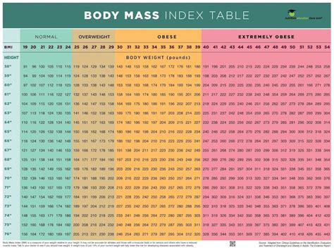 BMI Poster BMI Chart Poster Body Mass Index Poster 12 X 18 Exam Room ...