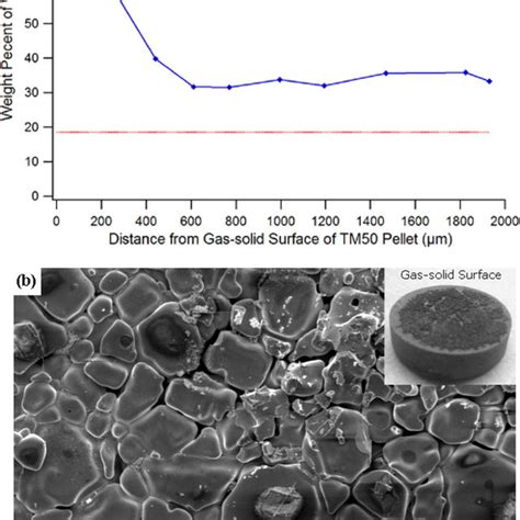 wt  wustite   layers  tm pellet  sem image