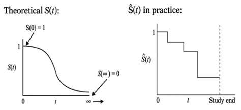 Deep Learning For Survival Analysis