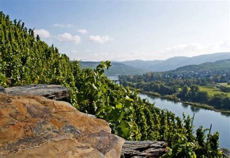 GermanWineEstates - German Wine Regions - Mosel