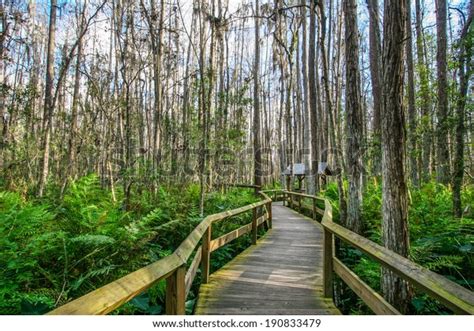 Fern Park Florida Over Royalty Free Licensable Stock Photos