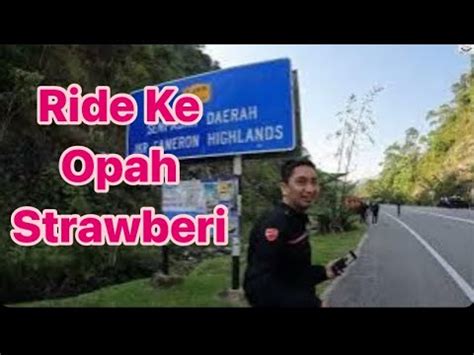 LAYAN CORNER KE OPAH STRAWBERRY KEA FARM CAMERON HIGHLANDS YouTube