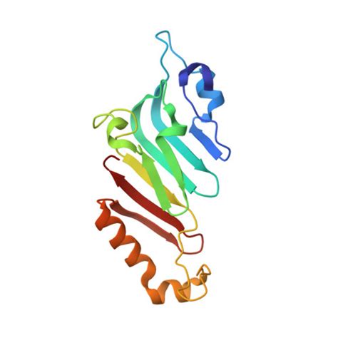 Rcsb Pdb 7nqa Crystal Structure Of Nucleoporin 98 Nanobody Ms98 6