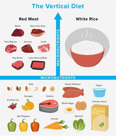 What Is The Vertical Diet Lindy Health