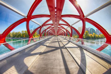 Things To Do In Calgary On A Weekend DiscoverCanada Blog