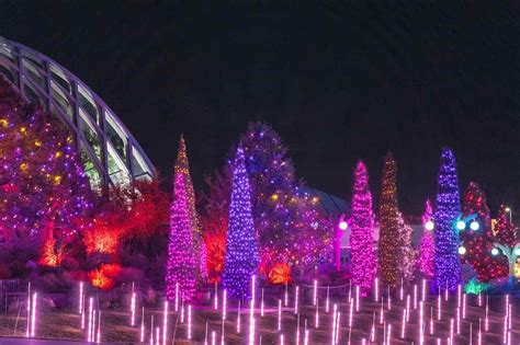 Blossoms Of Light Denver Botanic Gardens