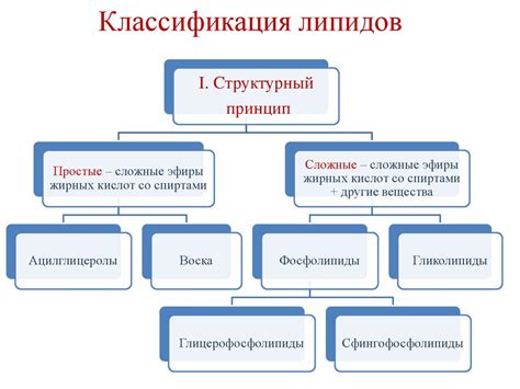 Структура и функции липидов. Стероиды. Жирорастворимые витамины ...