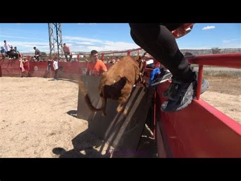 Suelta De Vaquillas En La Joyosa Marlofa Zaragoza Hd