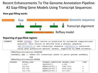 The Ncbi Eukaryotic Genome Annotation Pipeline And Alternate Genomic