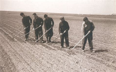 Suiker Unie Vereniging Bedrijf Historie