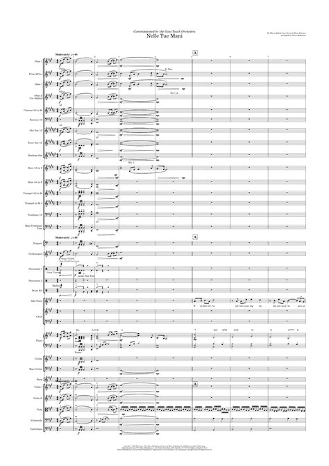 Nelle Tue Mani Arr Daryl McKenzie By Andrea Bocelli Sheet Music For