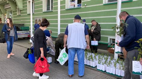 Nadleśnictwo rozdaje sadzonki drzew i krzewów