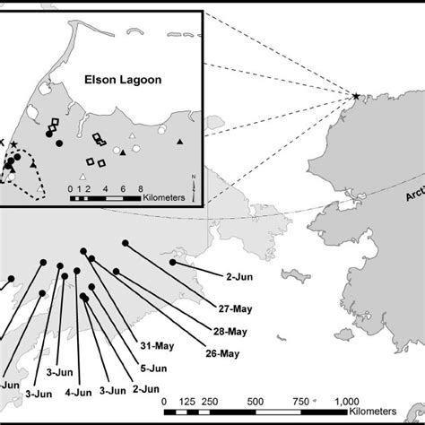 Map of Beringia, displaying the last known location and date when birds ...