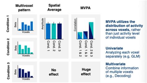 Kaarten Lec Multivariate Pattern Analysis Mvpa Quizlet