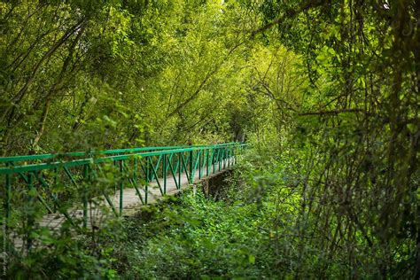 A Metal Green Bridge In The Woods La Mitjana Lleida Spain Del