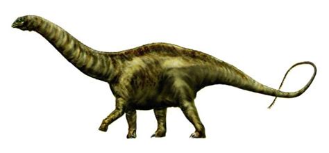 Dinosaurios De Cuello Largo Características Y Ejemplos