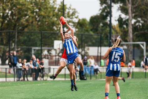 Vflw Season Preview North Melbourne Aussie Rules Rookie Me Central