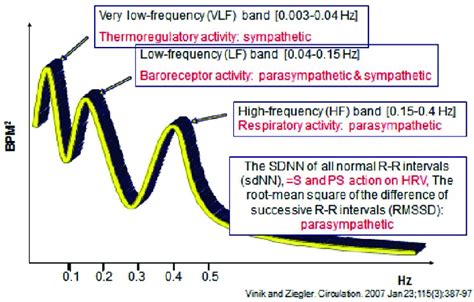 Spectral Analysis Of Heart Rate Variability Download Scientific