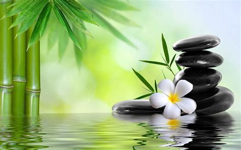 Relaxation Water Stones Plumeria Spa Relaxing Bamboo Hd Wallpaper Peakpx