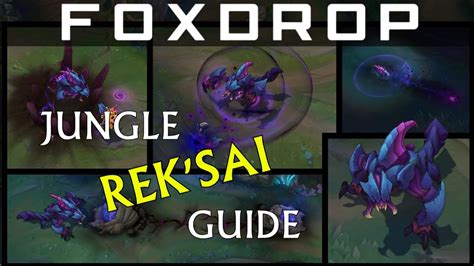 In Depth Diamond Jungle Reksai Guide Youtube