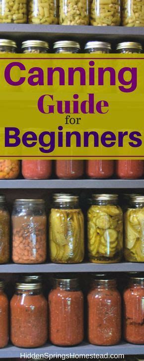 Free Printable Guide To Home Canning Basics Canning Recipes Food