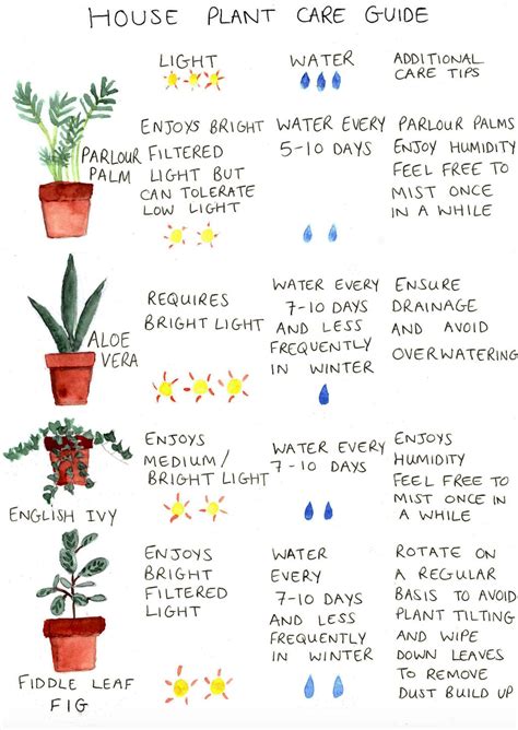 House Plant Care Guide 2 Etsy