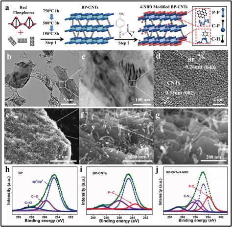 Synthesis And Structural Characterization Of Bpcnts A Schematic