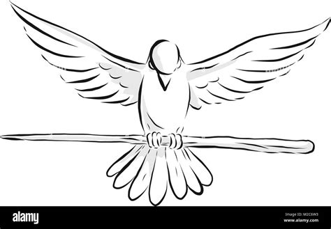 Drawing sketch style illustration of a soaring dove or pigeon with wing spread clutching a ...