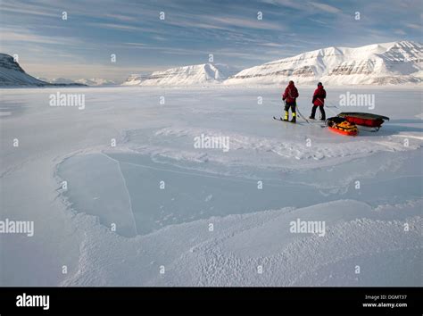 Cross Country Skiers With Pulkas Crossing A Frozen Fjord Tempelfjorden