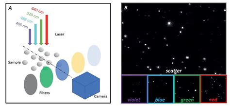 Characterization of Extracellular Vesicles via fluorescence Nanoparticle Tracking Analysis (f ...