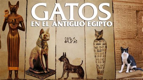 Hermosa Bastet Gatos Egipcios Gatos En El Antiguo Egipto Dioses Hot