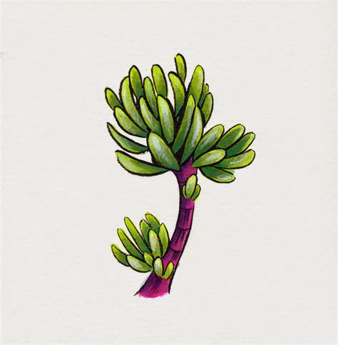 Teeny Tiny Cacti Succulent Illustrations In Copic And Watercolor