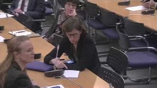 Interventions en commission et en séance Mme Agnès Firmin Le Bodo