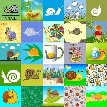 Solve Snails 428a Jigsaw Puzzle Online With 49 Pieces