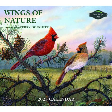 Wild Wings 2025 Calendars For Sale For Sale Rheta Valaria