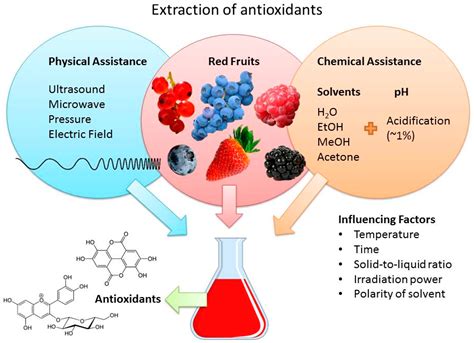 Antioxidants Free Full Text Red Fruits Extraction Of Antioxidants