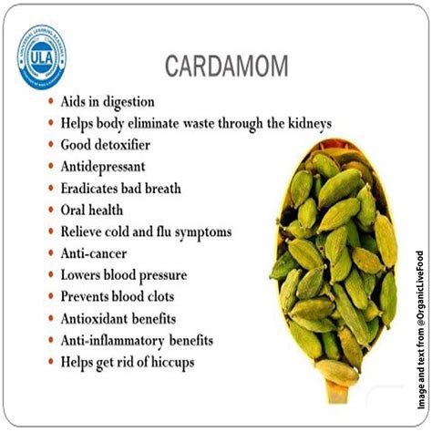 HEALTH BENEFITS OF CARDAMOM – Consumers Association Penang